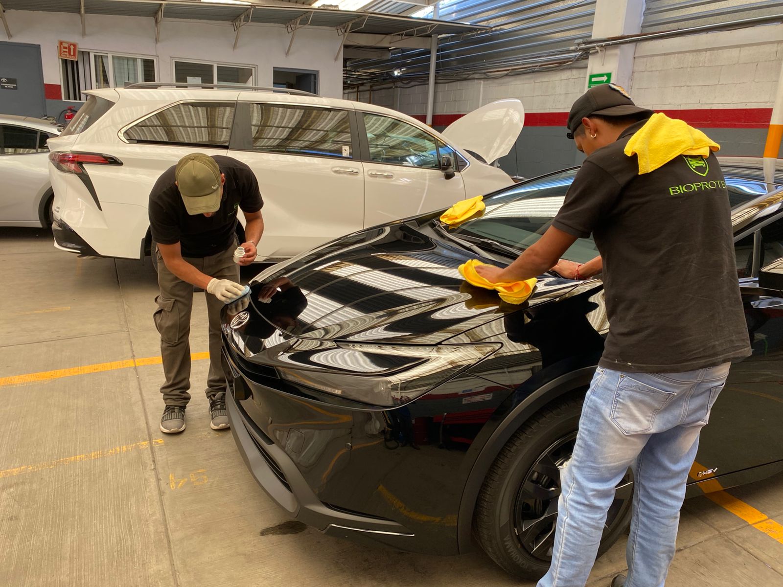 Equipo BioProtec aplicando cerámico en un sedán negro dentro de agencia automotriz